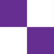 Purple and White Check